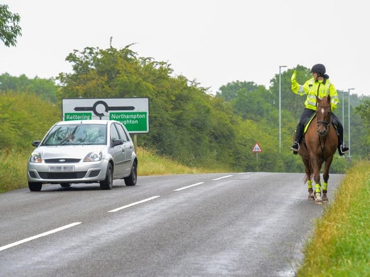 Distance drivers should be to overtake a horse